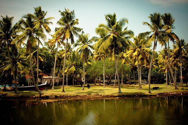 Kerala Backwaters Kerala