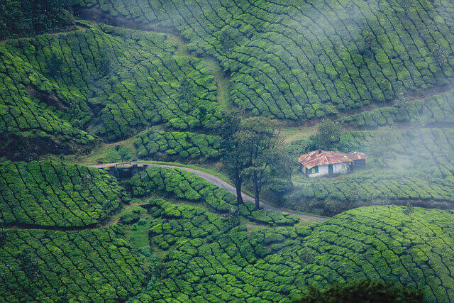 Munnar